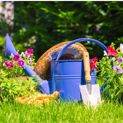 ガーデニング・家庭菜園