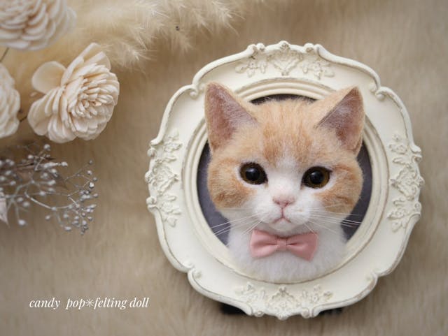 レッスンのイメージ画像