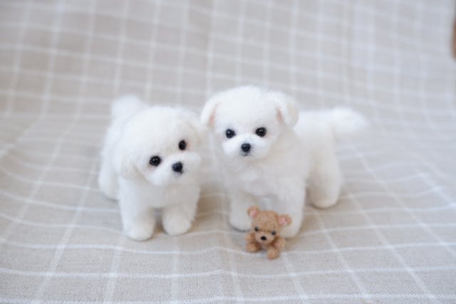 レッスンのイメージ画像