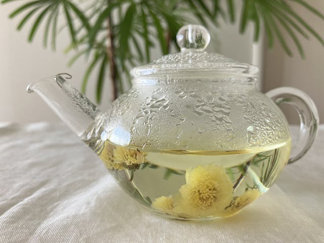 レッスンのイメージ画像