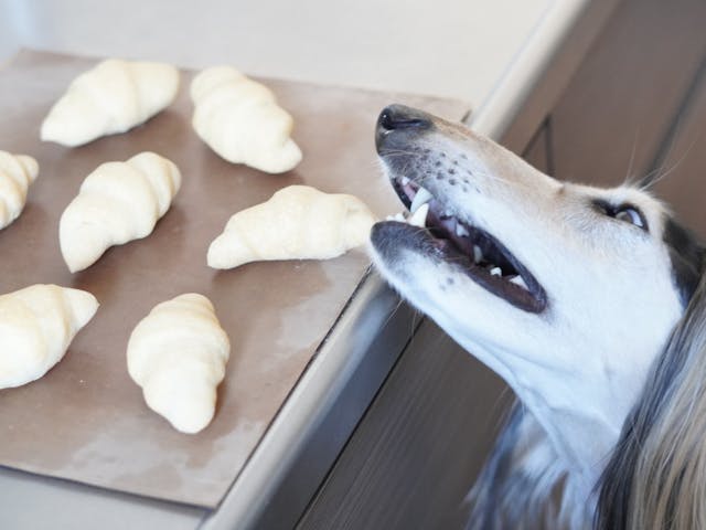 レッスンのイメージ画像