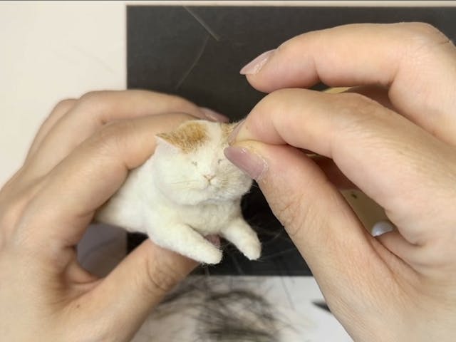 コースレッスン】MEBARUが教える！羊毛フェルト講座 -茶トラ白猫編