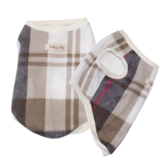 レッスンのイメージ画像