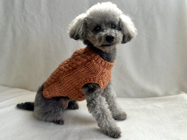 レッスンのイメージ画像