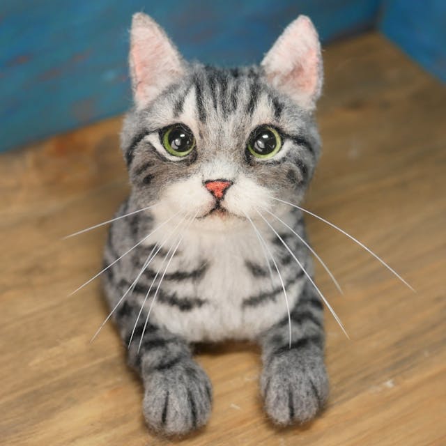 レッスンのイメージ画像