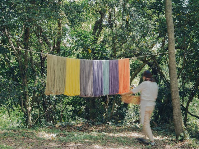 「草木染め」とは？のイメージ画像