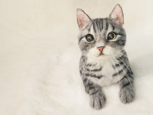 リアルな猫の制作にチャレンジしませんかのイメージ画像