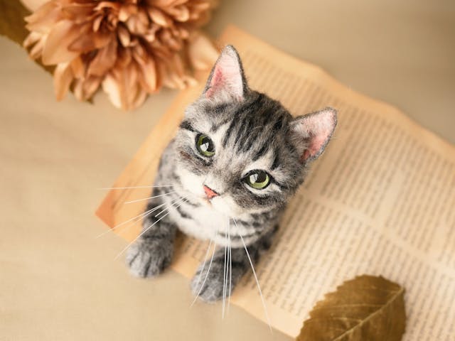 講師から学びの進め方についてのイメージ画像