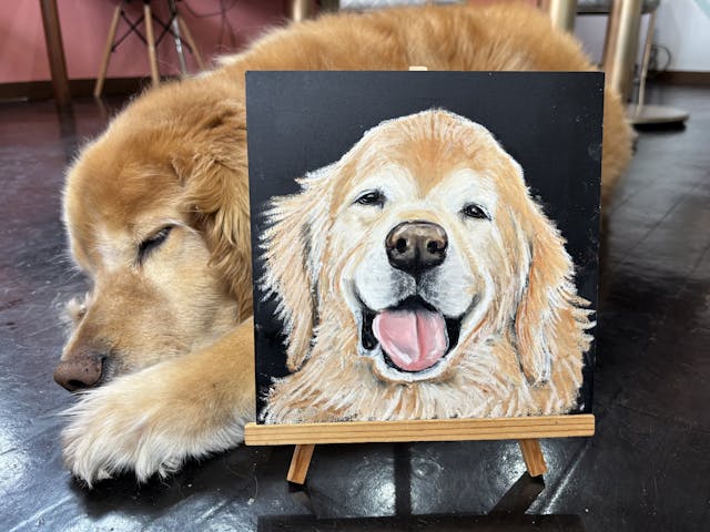 「ゴールデンレトリバー」を描いてみようのイメージ画像