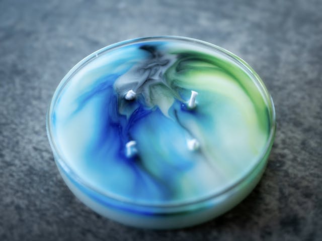 ディプロマ発行・認定講師制度ありのイメージ画像