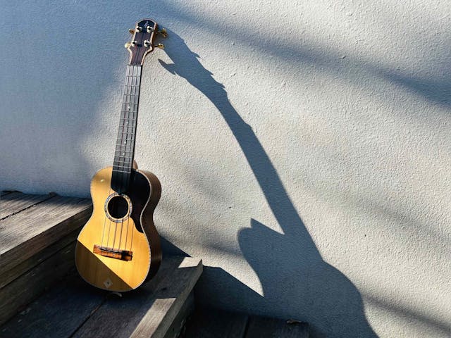 持ったその日からポロン♪と楽しいウクレレのイメージ画像