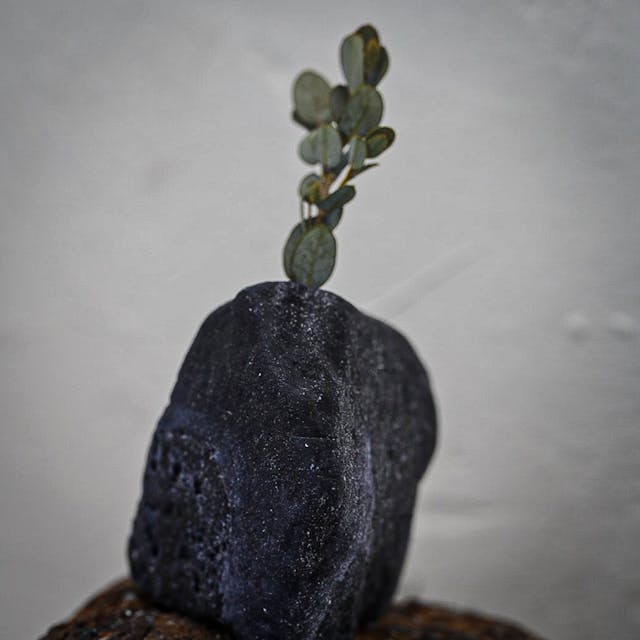 目的に合わせて選べる、3つの受講方法のイメージ画像