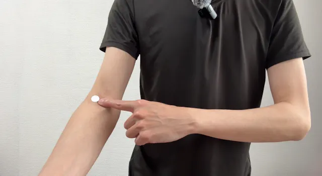 12経絡と任脈(妊脈)レッスンに挑戦のイメージ画像