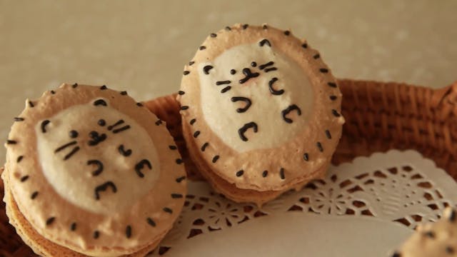 見た目のかわいさがSNS話題の韓国マカロンのイメージ画像