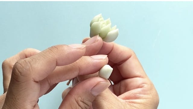 樹脂粘土でつくるミニチュア多肉植物のイメージ画像