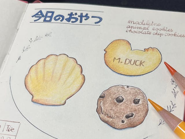 初めての方にもおすすめのイメージ画像