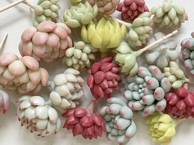 初心者から本格派まで大歓迎！のイメージ画像