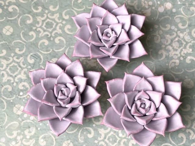 樹脂粘土でつくる多肉植物のイメージ画像