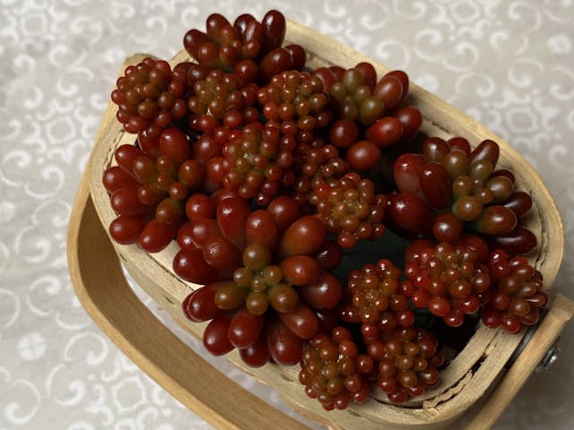 人気品種『虹の玉、七福神』含む5作品に挑戦！のイメージ画像