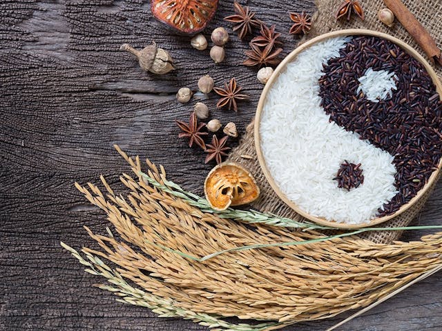 ペット薬膳食基礎知識から学びますのイメージ画像