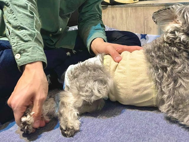 実践しやすいカリキュラムのイメージ画像