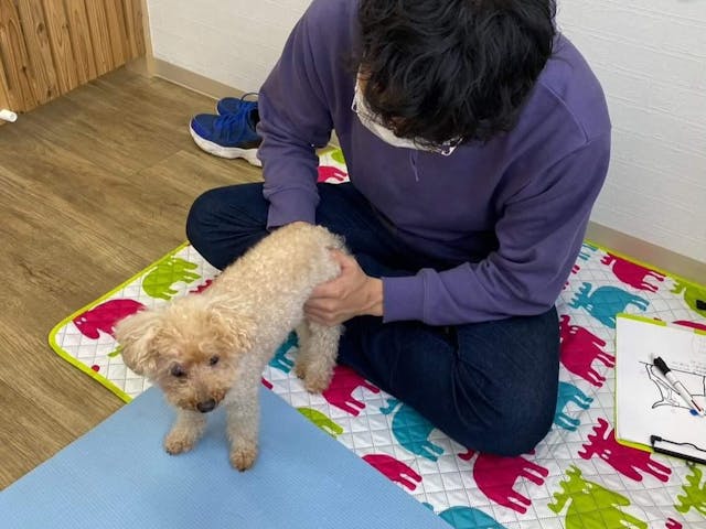 レッスンで学ぶ内容のイメージ画像