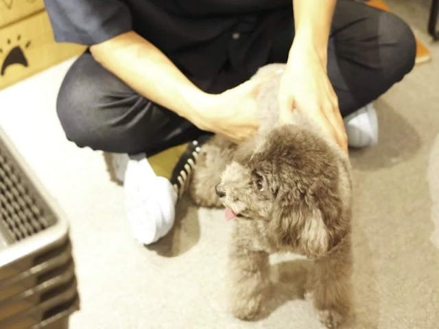 部位に分けて学んでいきますのイメージ画像