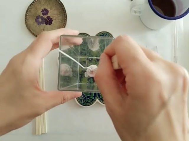 活かせるスキルをお伝えしますのイメージ画像