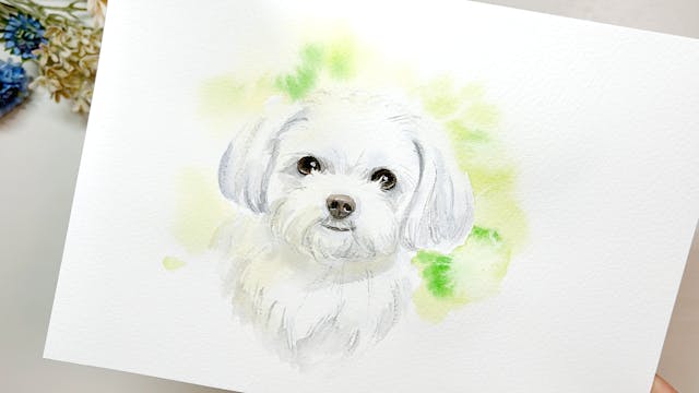 柔らかな、優しい表現が可能な「透明水彩」のイメージ画像