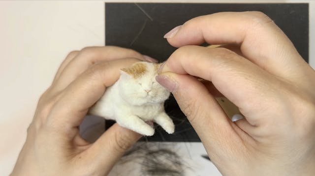 もっちりとした毛並みを
表現できるようになりますのイメージ画像