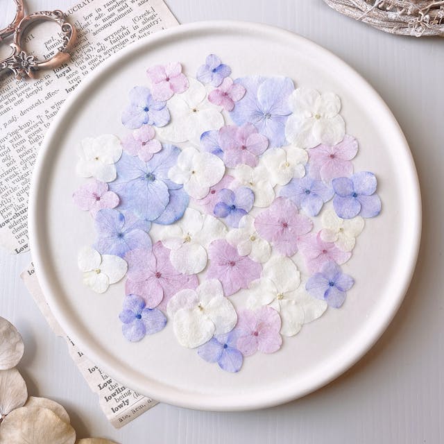 簡単に色鮮やかな押し花を作るコツが学べるのイメージ画像