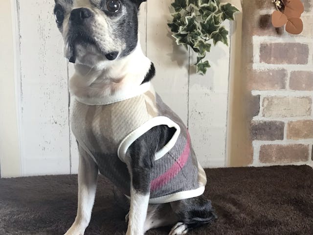 サイズぴったりの「タンクトップ」作りに挑戦のイメージ画像