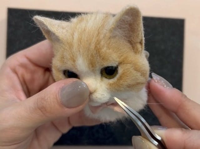 初心者〜中級者まで【どなたでも】大歓迎！のイメージ画像