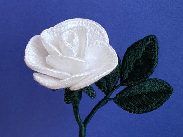 水谷禎子より学びの進め方のイメージ画像