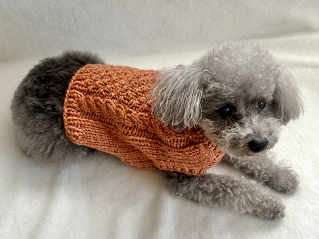 講師から学びの進め方についてのイメージ画像