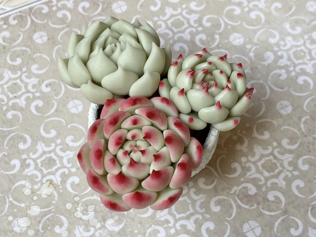 多肉粘土職人poncotageが教える！粘土多肉の初級レッスンの紹介画像6