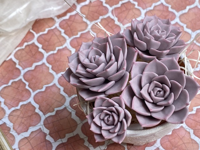 多肉粘土職人poncotageが教える！粘土多肉の中級レッスンの紹介画像2