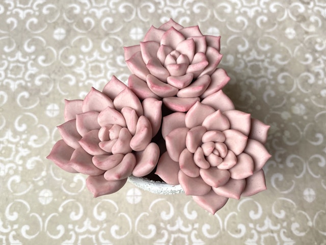 多肉粘土職人poncotageが教える！粘土多肉の中級レッスンの紹介画像4