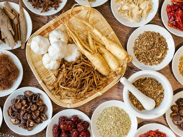 はじめての簡単ペット薬膳入門講座