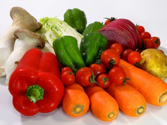 はじめての簡単ペット薬膳入門講座の紹介画像3