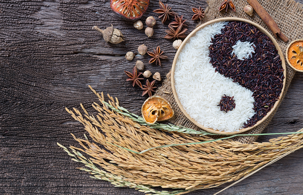 はじめての簡単ペット薬膳入門講座の紹介画像6