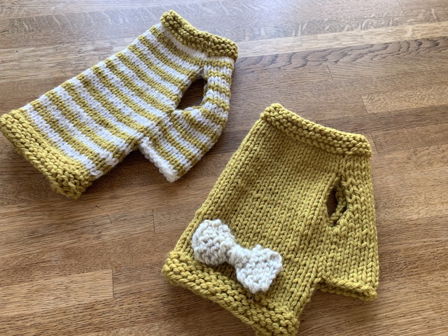 編み物の基礎から学ぶ「愛犬のためのニット」講座の紹介画像2