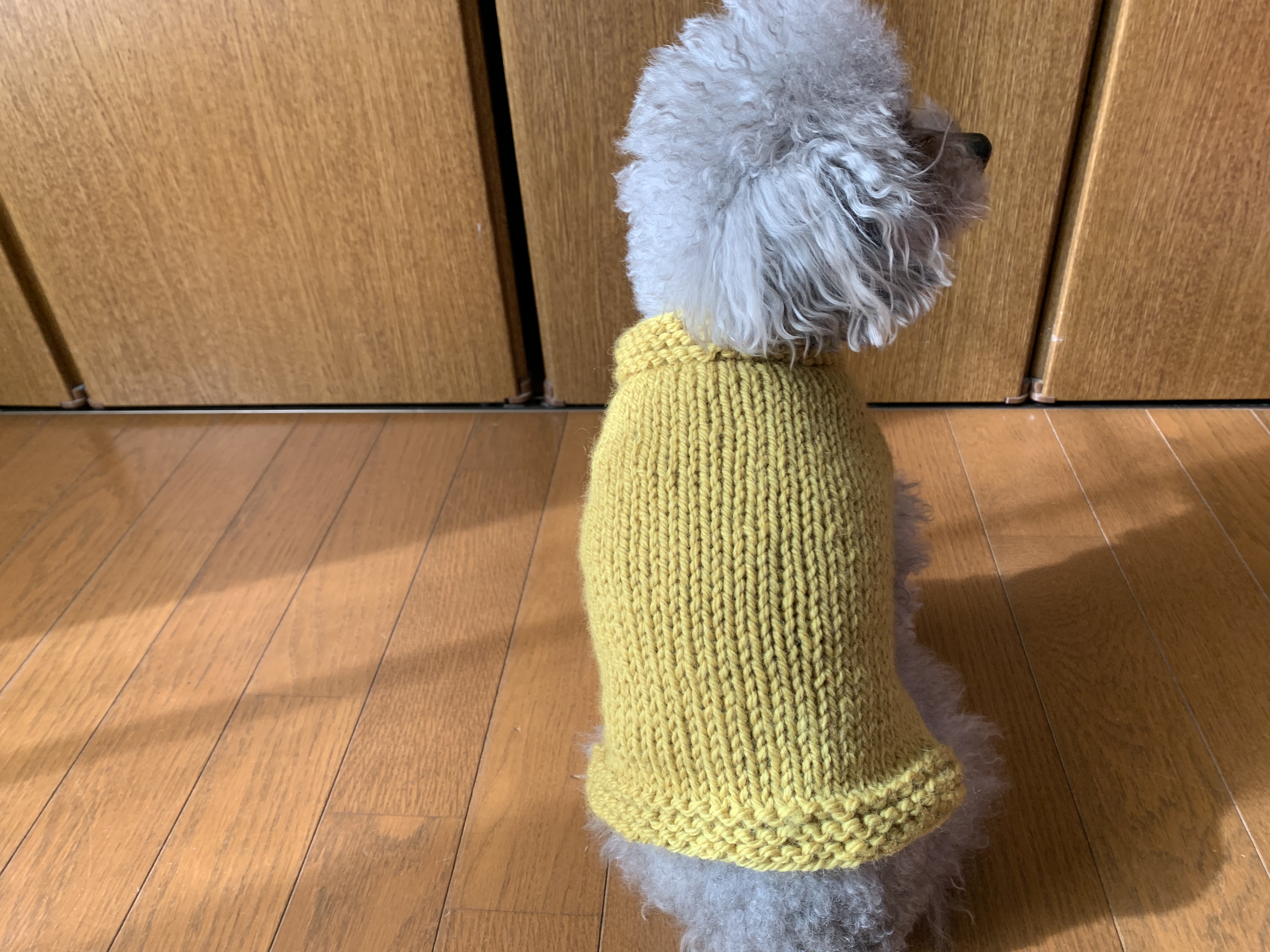 編み物の基礎から学ぶ「愛犬のためのニット」講座の紹介画像3