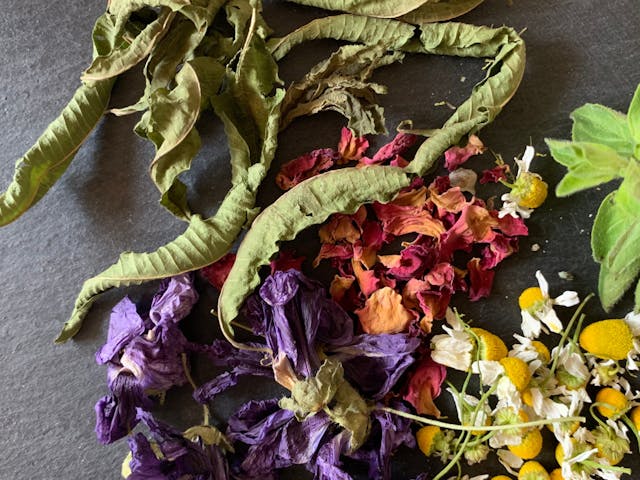 ハーブティーから始める暮らしのハーブ活用講座