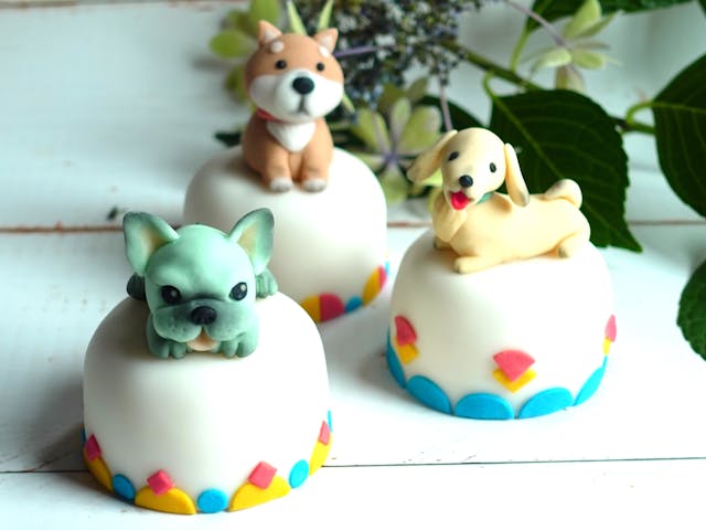 可愛いのに食べられる！「ワンコのミニシュガーケーキ講座」