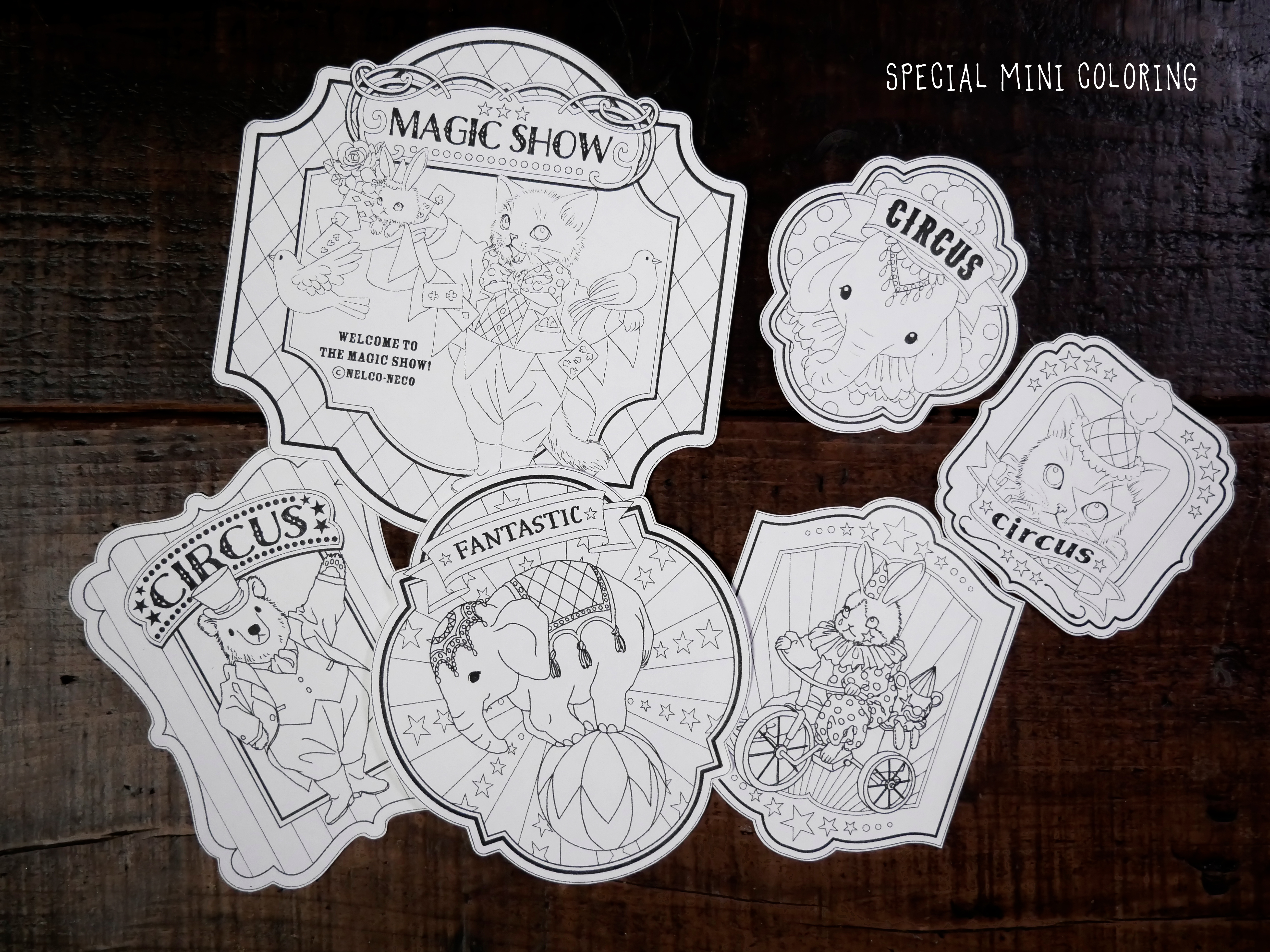 色鉛筆とプラバンで作る！アクセサリー雑貨講座 ~動物たちのサーカス~の紹介画像8