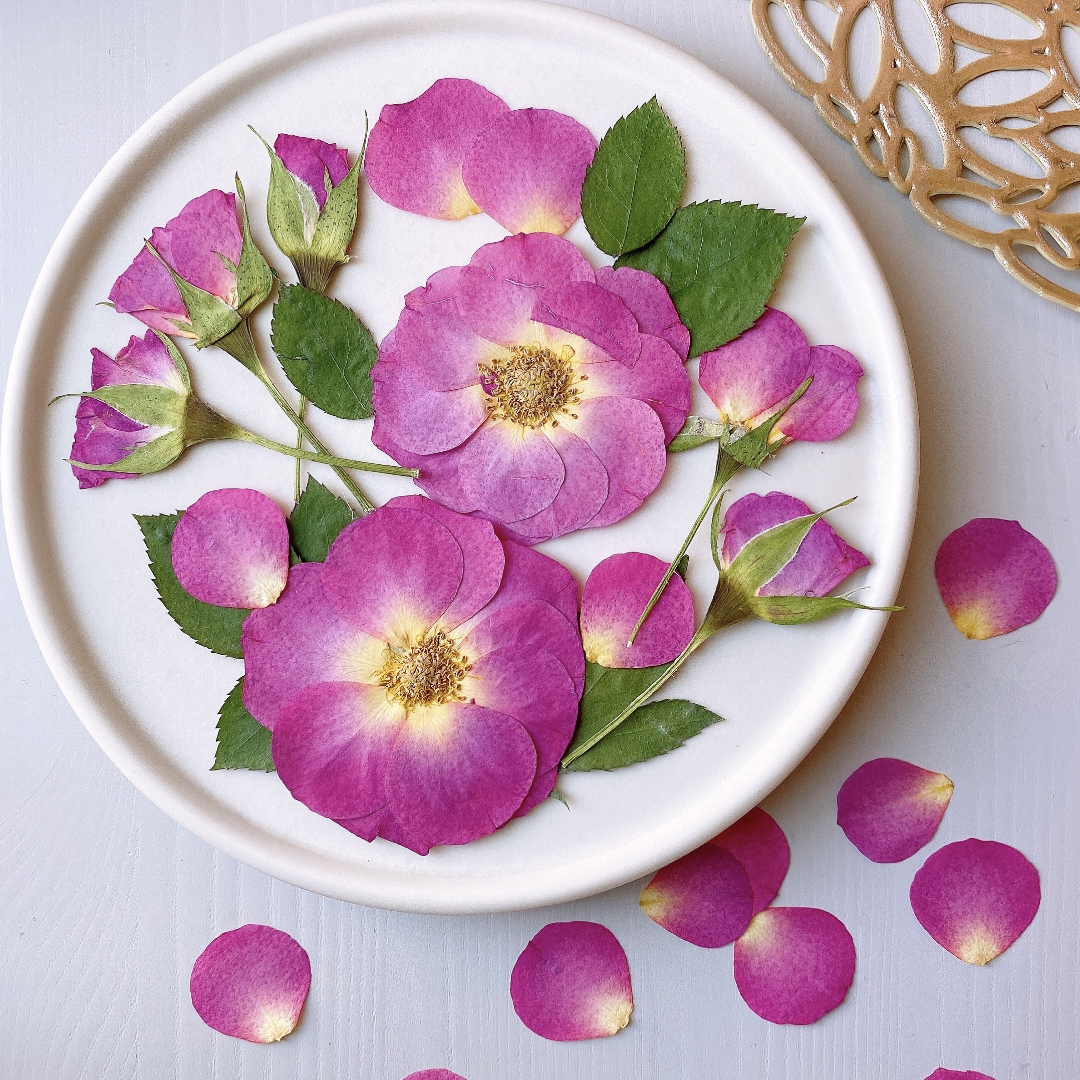 販売実績1万件のプロが教える！押し花アート実践講座の紹介画像5