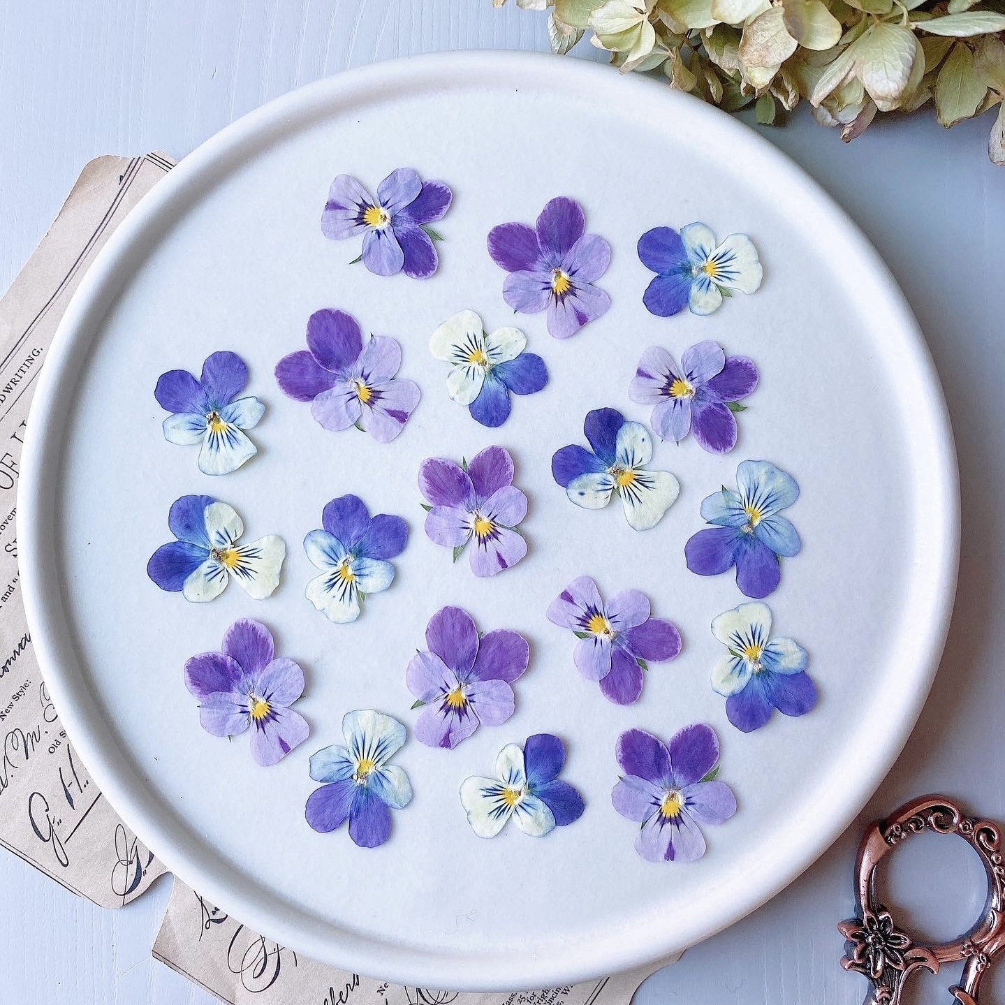 販売実績1万件のプロが教える！押し花アート実践講座の紹介画像6