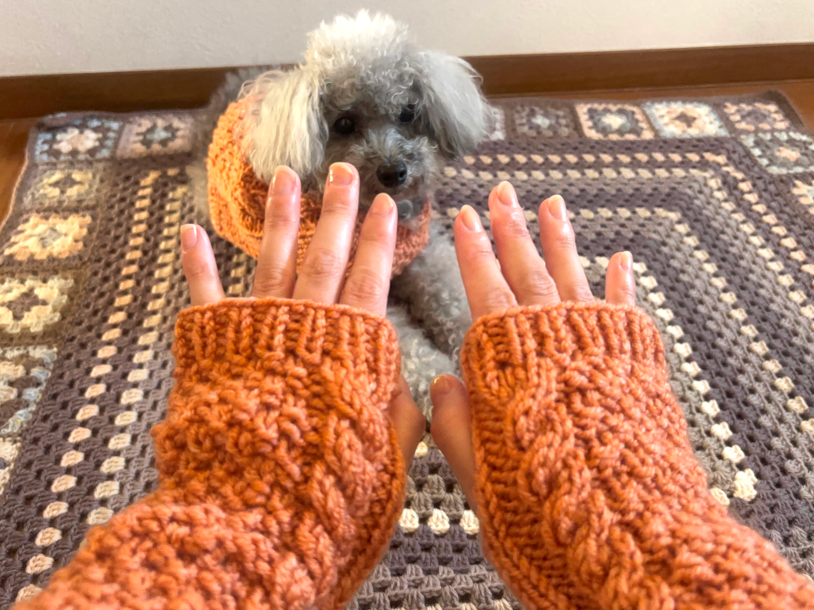 愛犬とおそろいで楽しむ！棒針編みのニット・ハンドウォーマー講座の紹介画像3