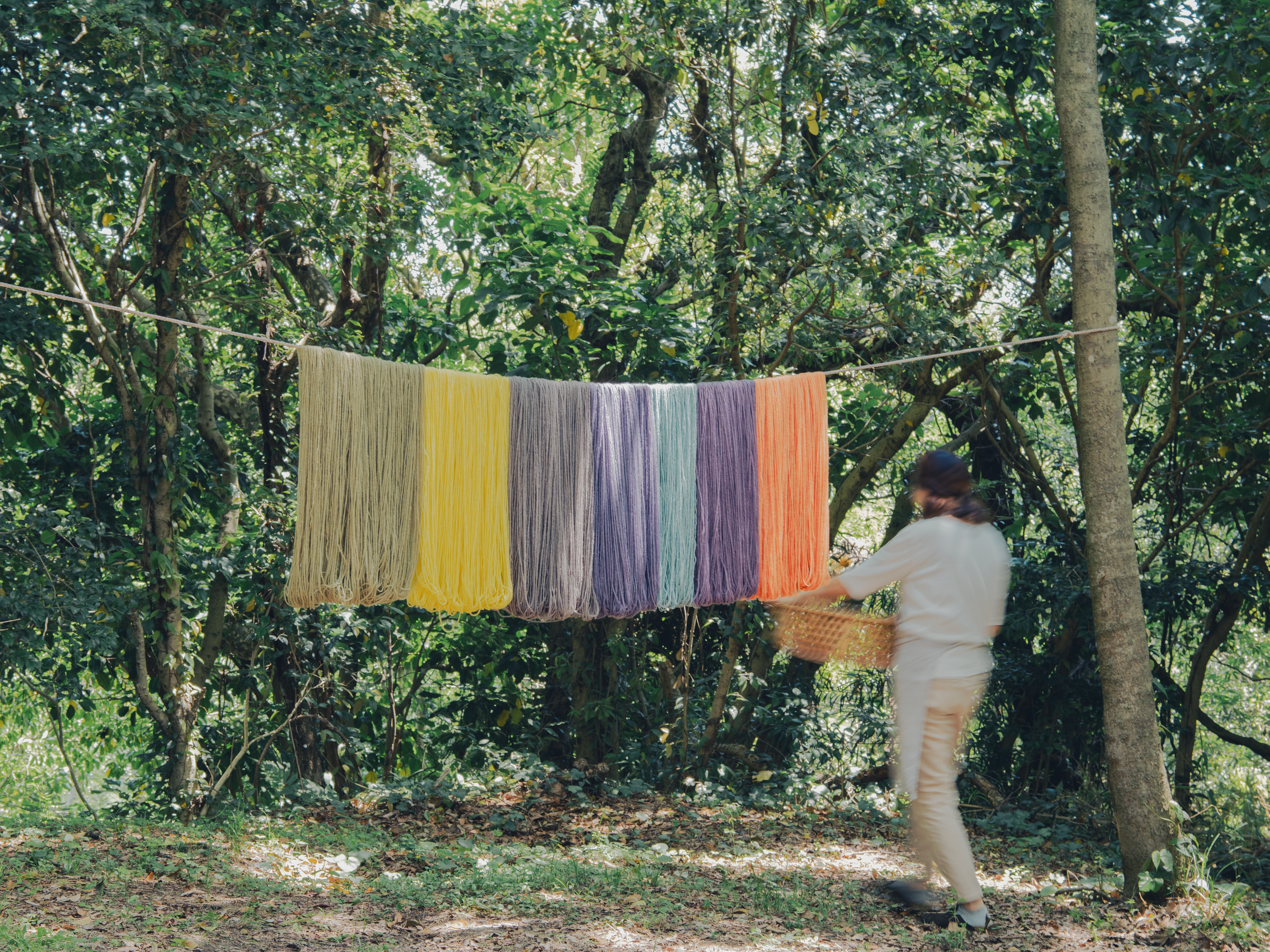 はじめての草木染め講座 (シルク・ウール・綿)の紹介画像7